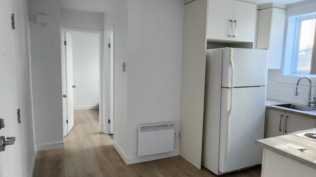 video image
